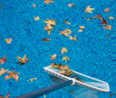 Comment bien hiverner sa piscine : Le guide complet pour passer l'hiver sereinement.
